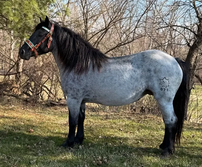 Lovely Valentina