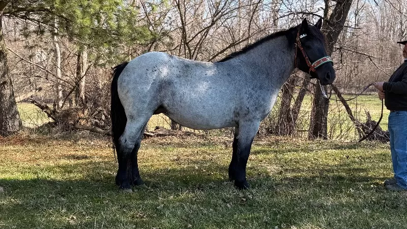 Lovely Valentina