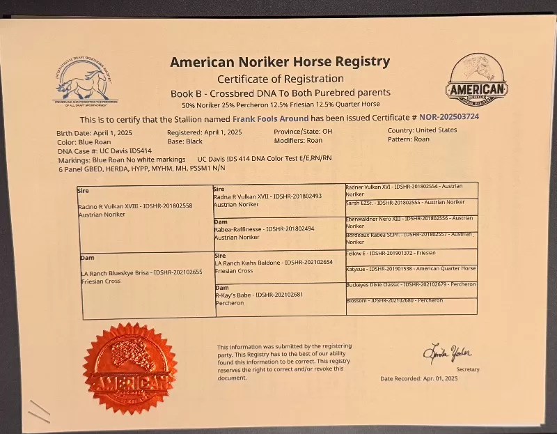 SOLD! Frank Fools Around