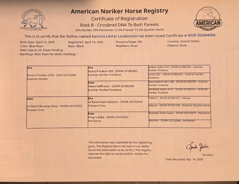 Racinos Lester Loubaton